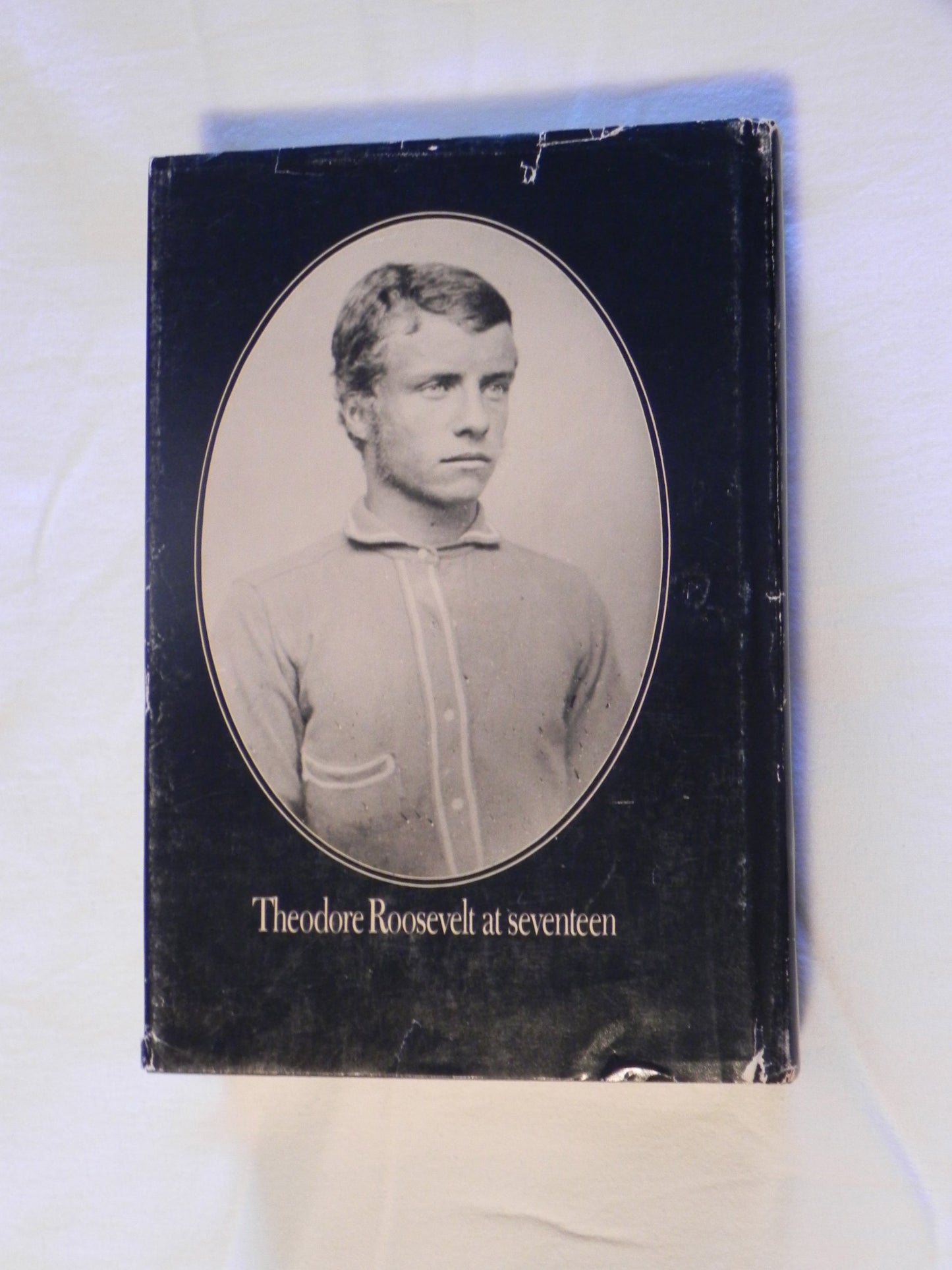 The Rise of Theodore Roosevelt
