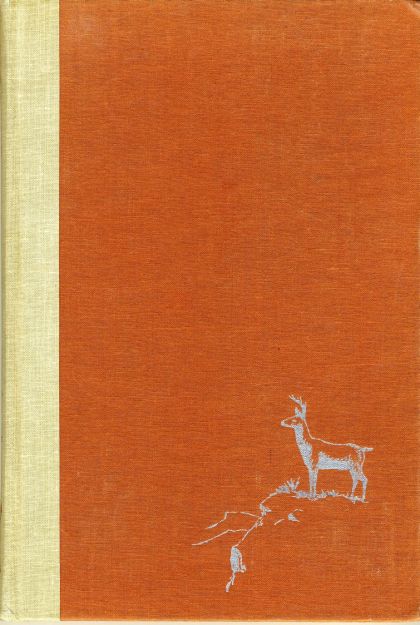 Big Bend A Homesteader's Story
