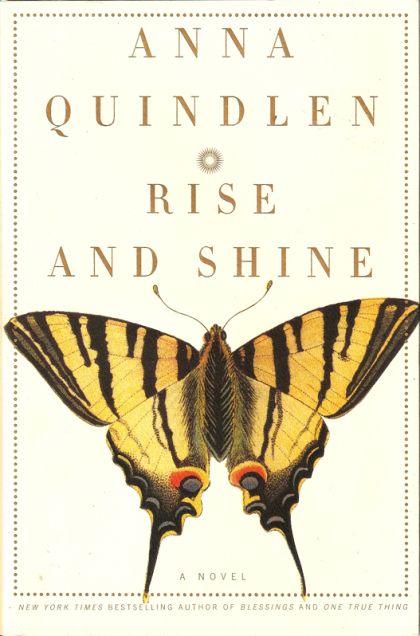 Rise and Shine - A Novel