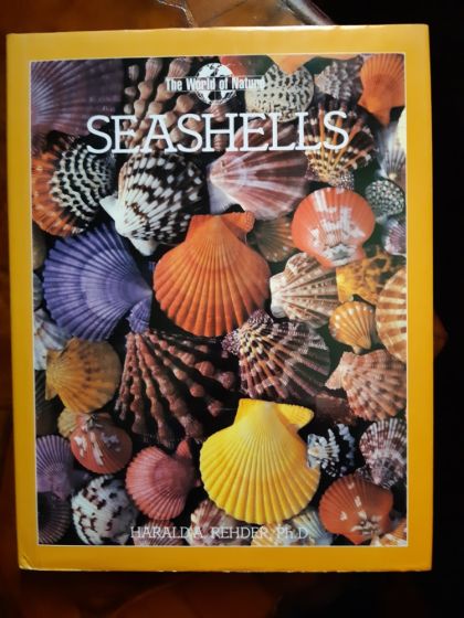 Seashells (World of Nature)