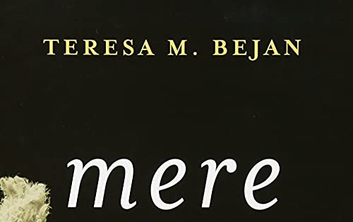 Mere Civility: Disagreement and the Limits of Toleration