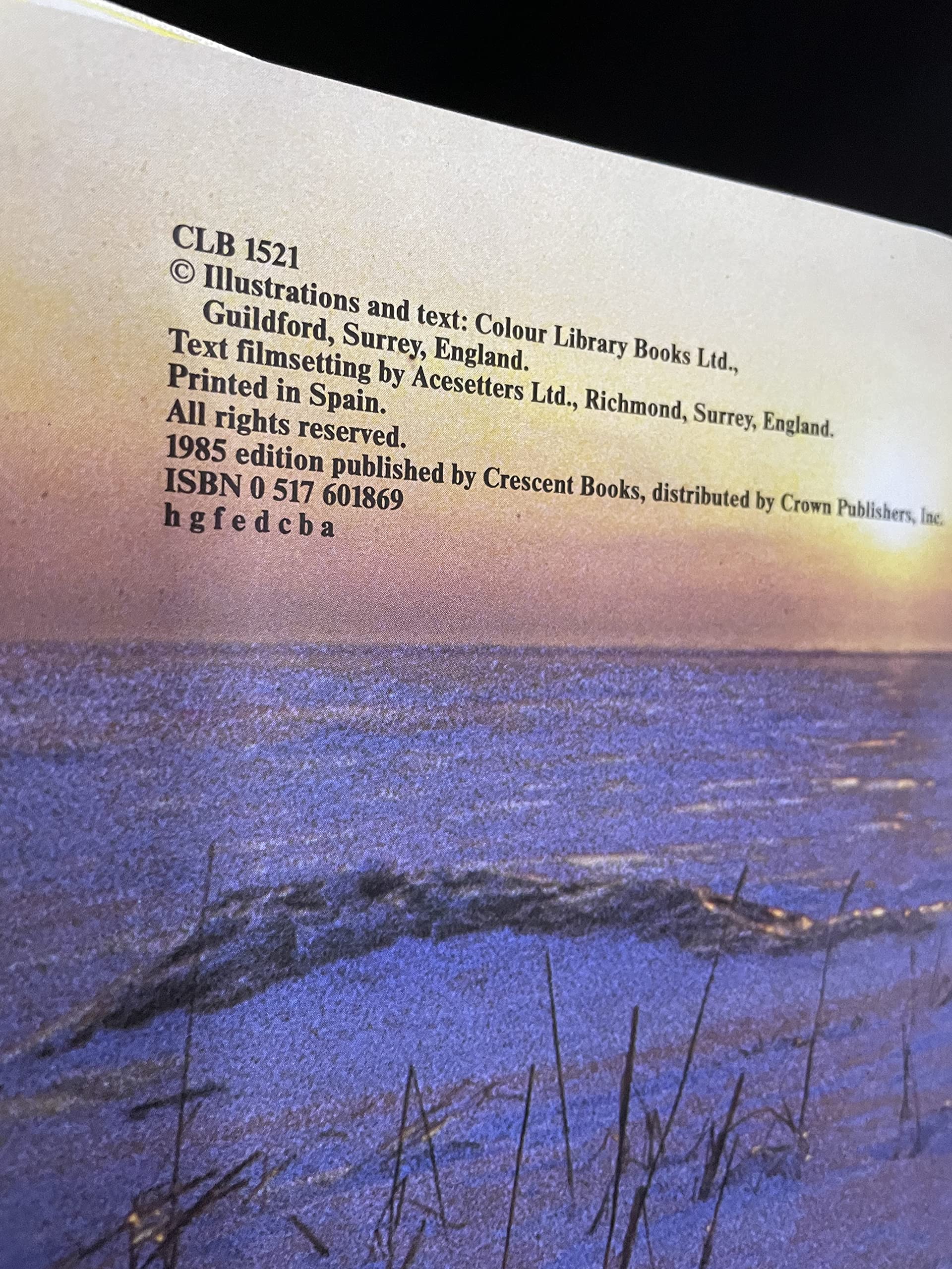 3f73c696-df1a-4b2f-8293-788ebd9afa1c