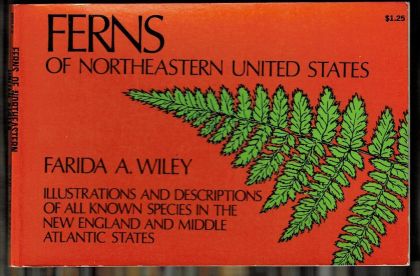 Ferns of Northeastern United States - Illustrations and Descriptions of All Known Species in the New England and Middle Atlantic States,