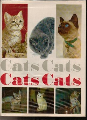 Cats Cats Cats Cats