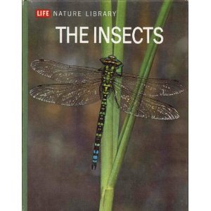 Life Nature Library the Insects
