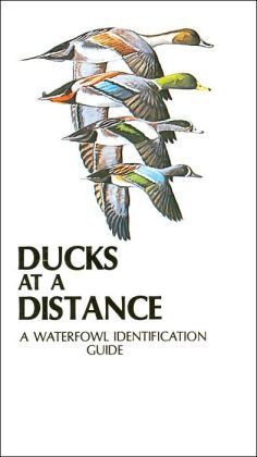 Ducks at A Distance - A Waterfowl Identification Guide