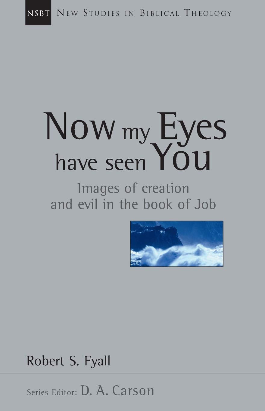 Now My Eyes Have Seen You: Images of Creation and Evil in the Book of Job (Volume 12) (New Studies in Biblical Theology)