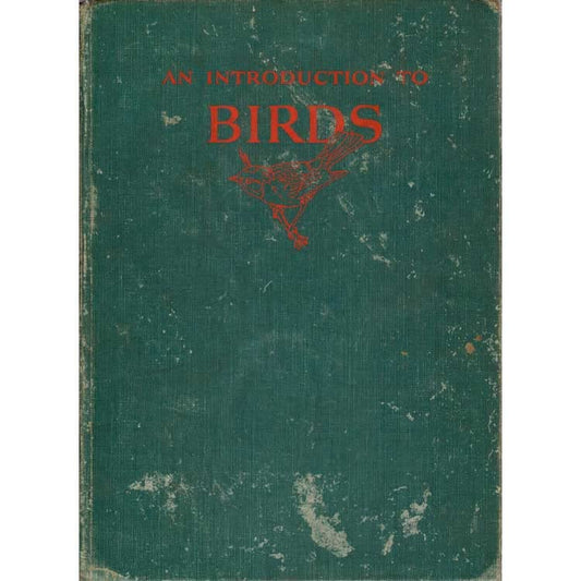 An Introduction to Birds
