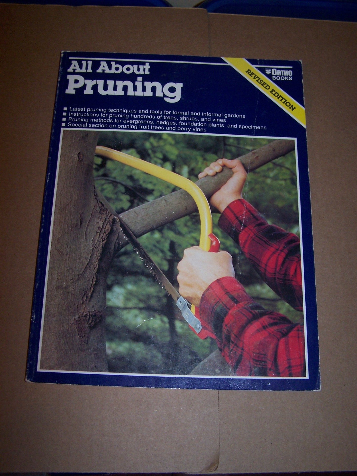 All About Pruning
