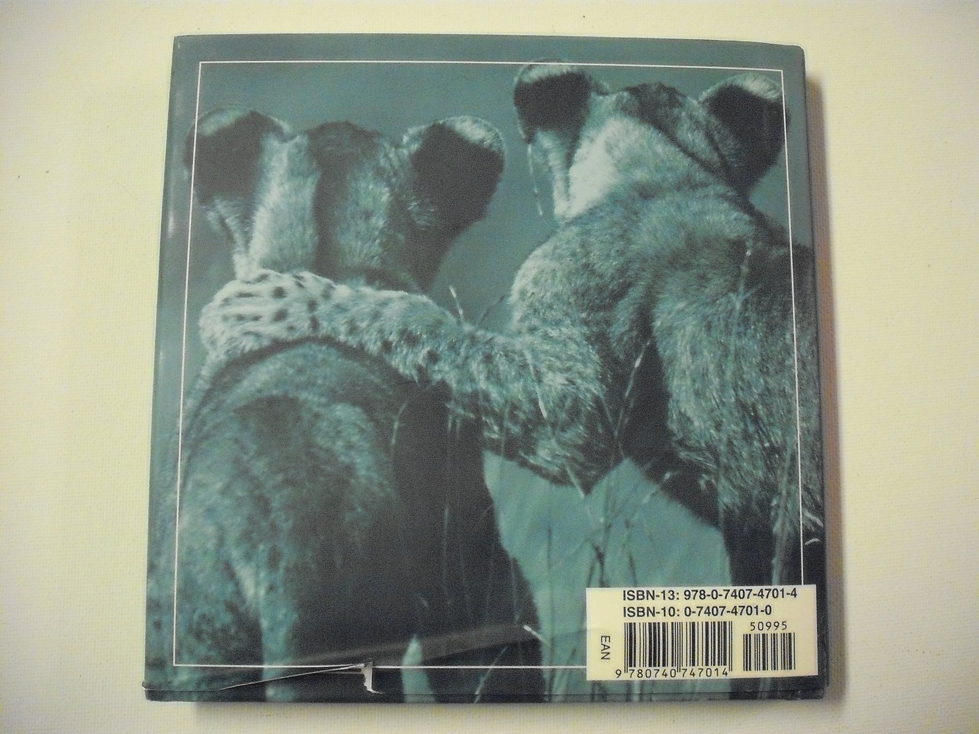 55c527f6-5af3-465b-a6bf-94a8acadc3d0