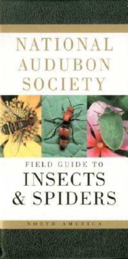 National Audubon Society Field Guide to North American Insects and Spiders (Audubon Society Field Guide)