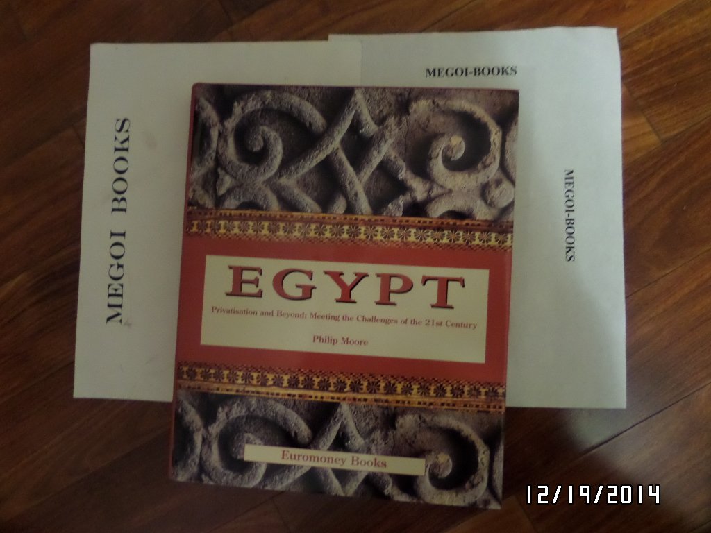 Egypt: Meeting the Challenges of the 21st Century- Privatisation and Beyond