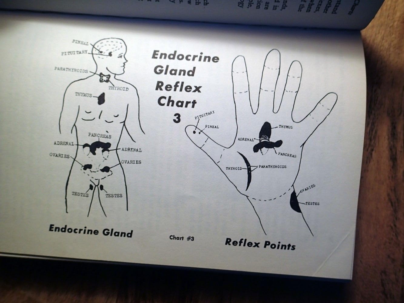 Hand Reflexology: Key to Perfect Health