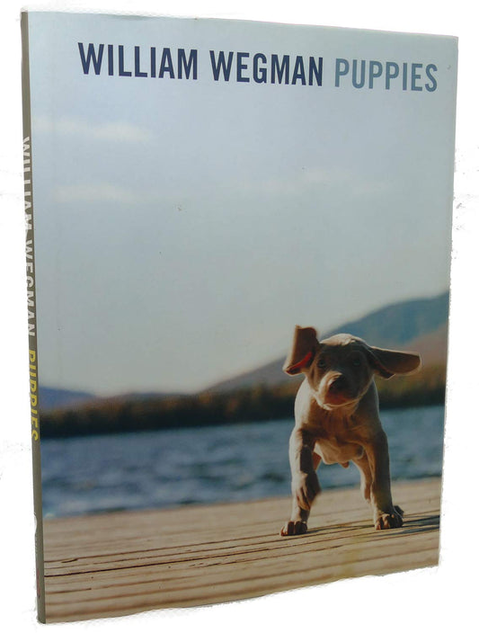 William Wegman: Puppies