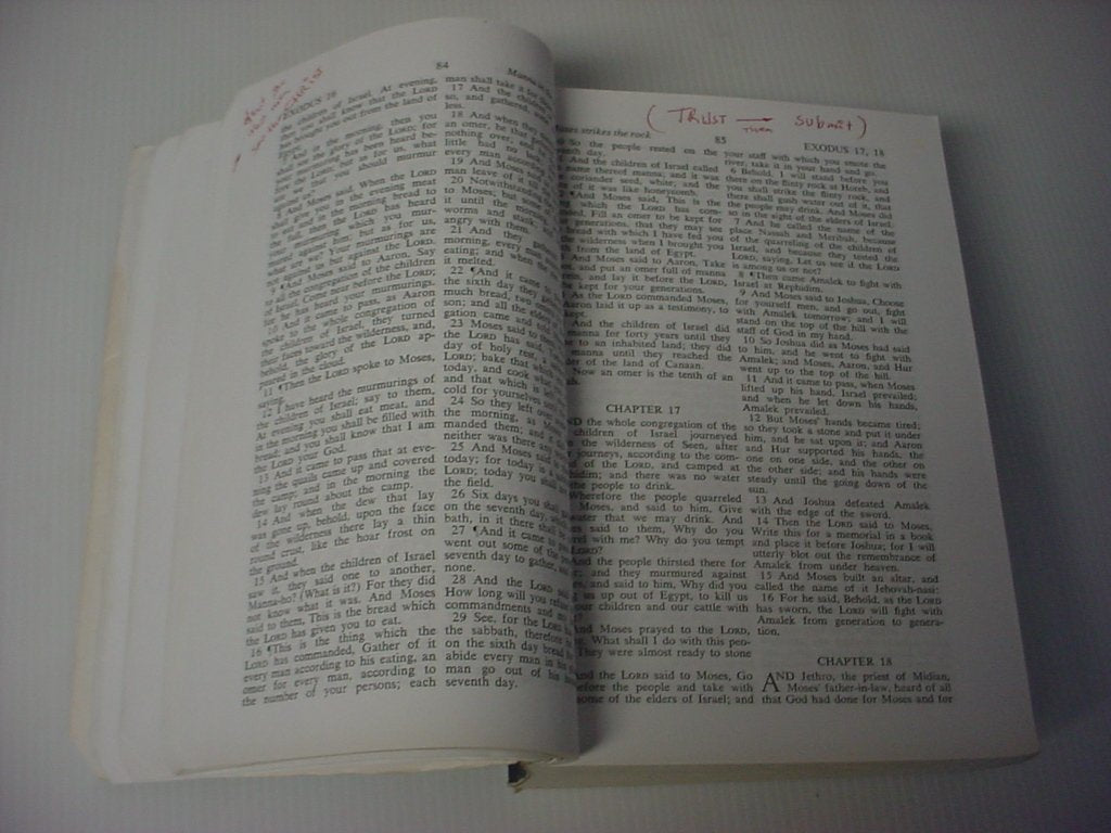 Holy Bible: From the Ancient Eastern Text: George M. Lamsa's Translation From the Aramaic of the Peshitta