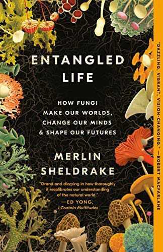 Entangled Life