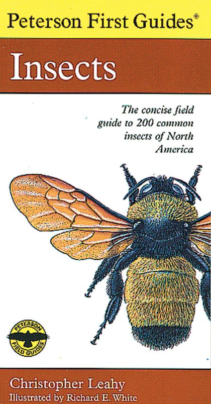 Peterson First Guide to Insects of North America (Peterson First Guides(R))