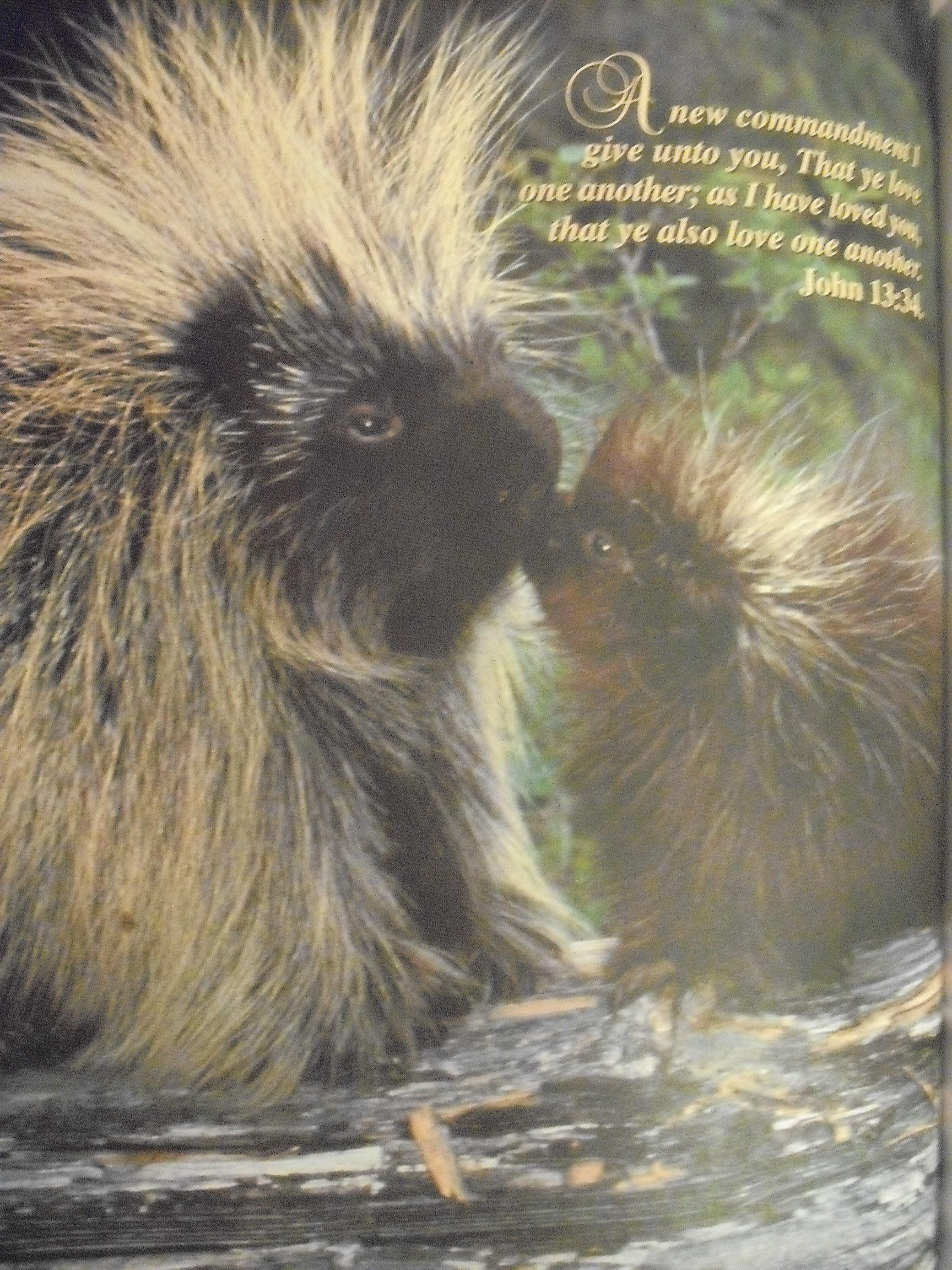 6ccd76e1-2ee9-4167-8142-980378fb93c3