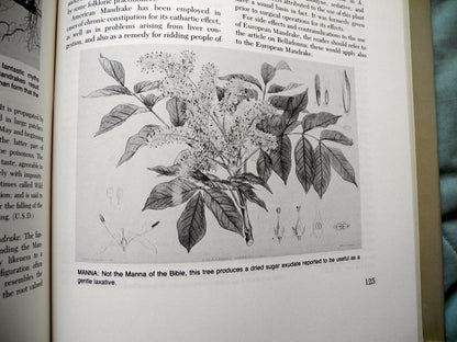Weiner's herbal: The guide to herb medicine