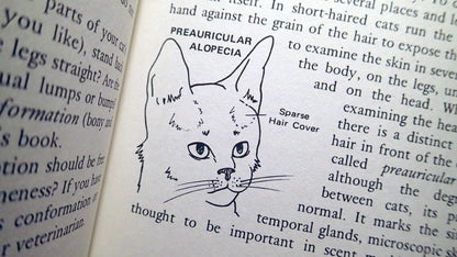 The Well Cat Book: The Cat Lover's Illustrated Medical Companion