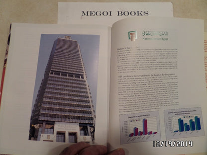 Egypt: Meeting the Challenges of the 21st Century- Privatisation and Beyond