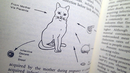The Well Cat Book: The Cat Lover's Illustrated Medical Companion