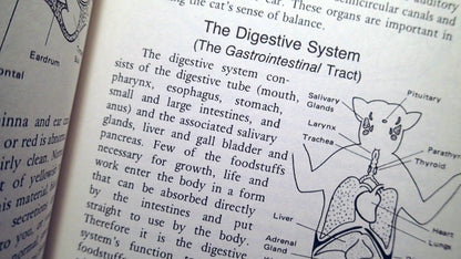 The Well Cat Book: The Cat Lover's Illustrated Medical Companion