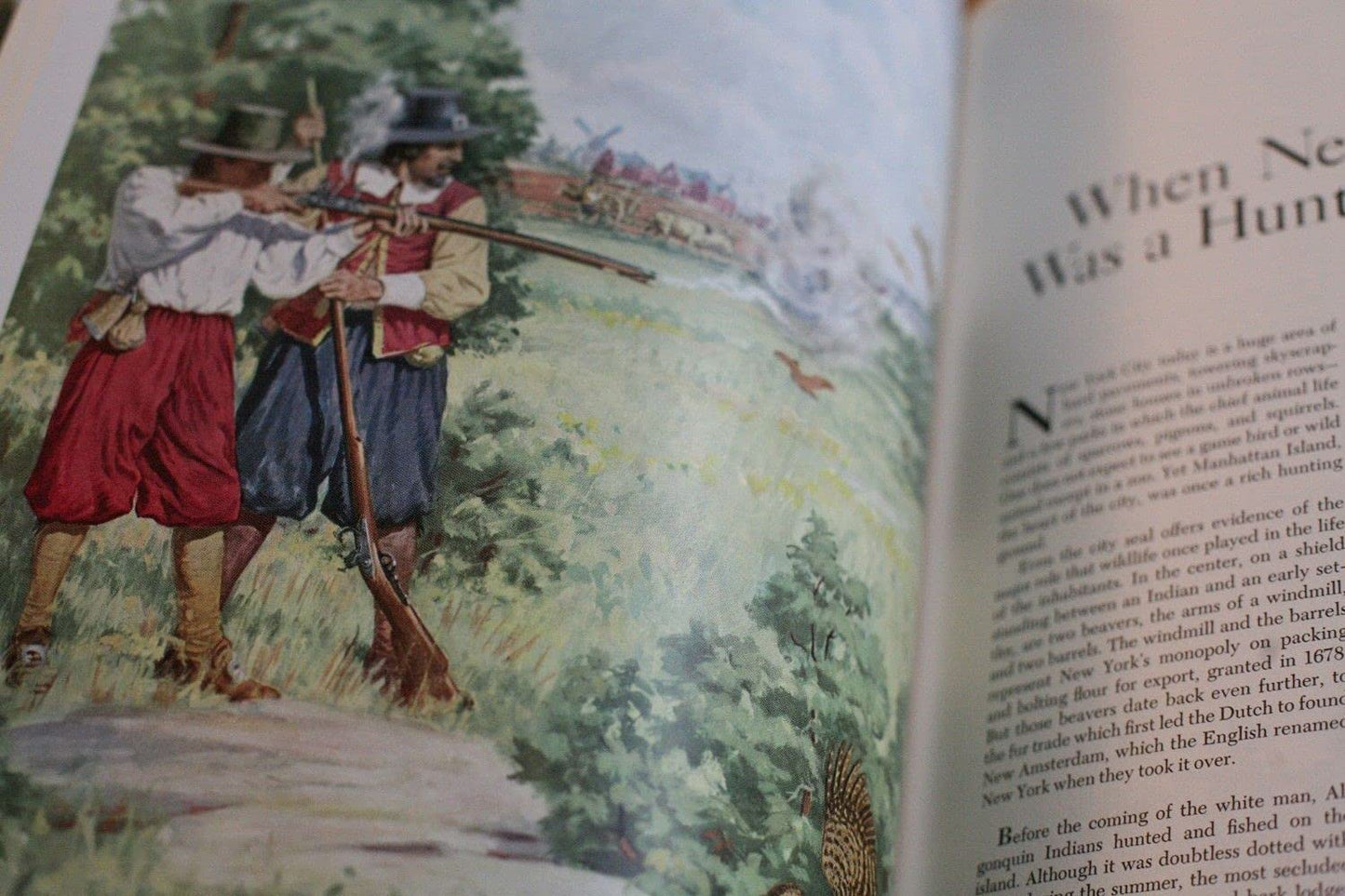 The Story of American Hunting and Firearms [A 400-year history]