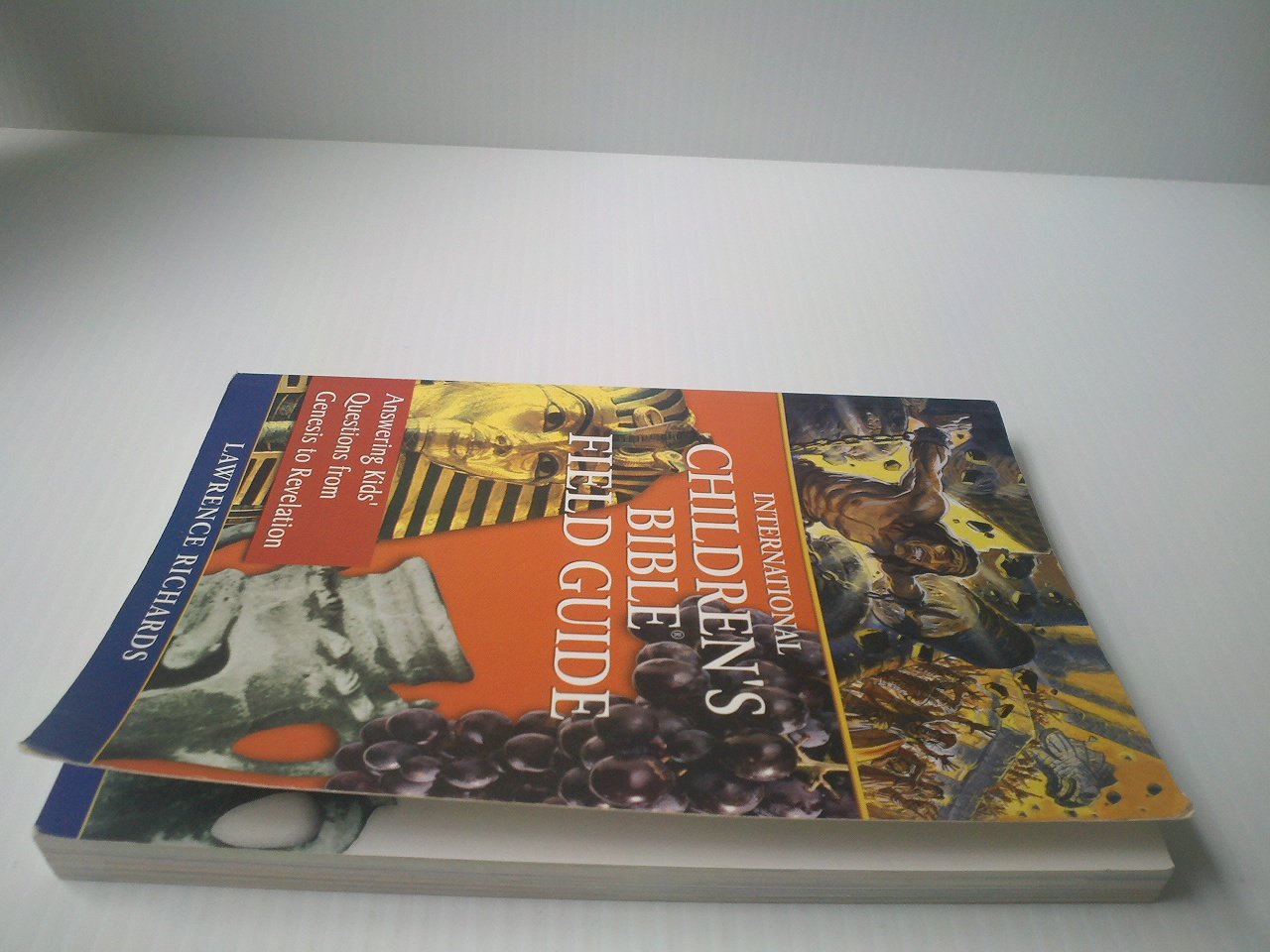 International Children's Bible Field Guide