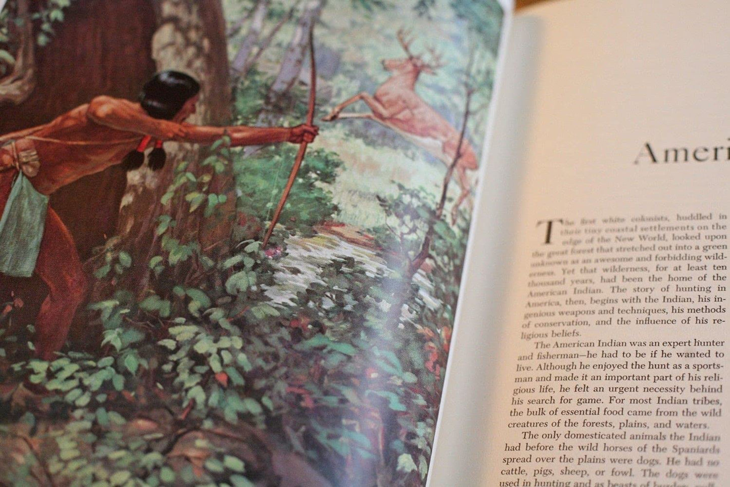The Story of American Hunting and Firearms [A 400-year history]