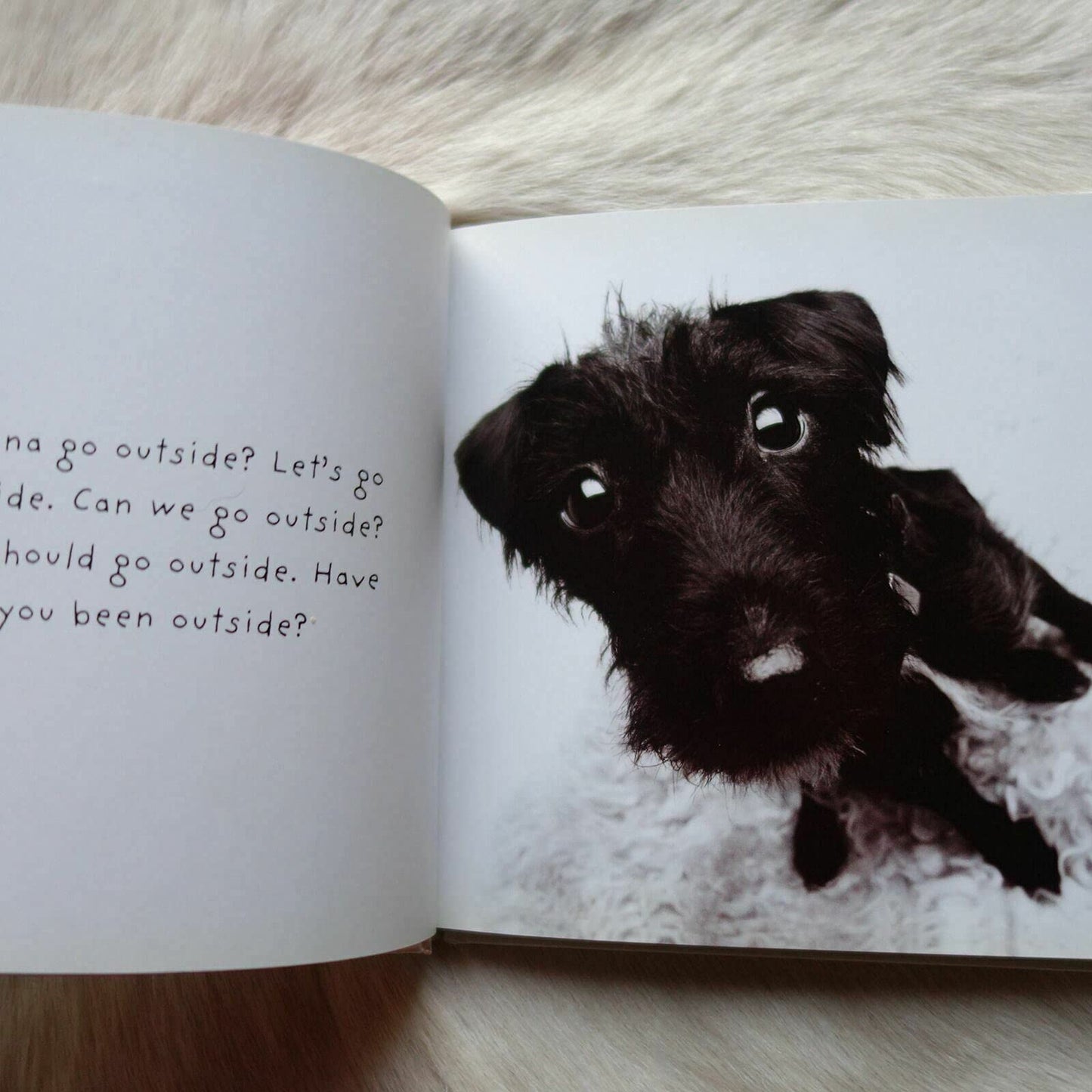 If Dogs Could Talk: Tongues Unleashed!