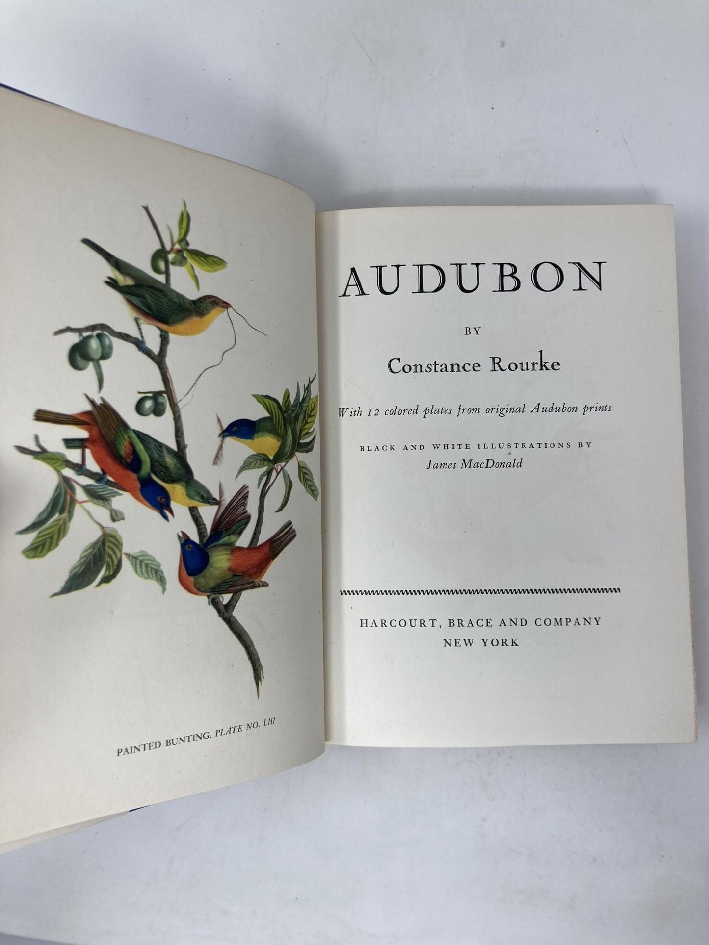 Audubon