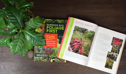 Gardening with Foliage First: 127 Dazzling Combinations That Pair the Beauty of Leaves with Flowers, Bark, Berries, and More