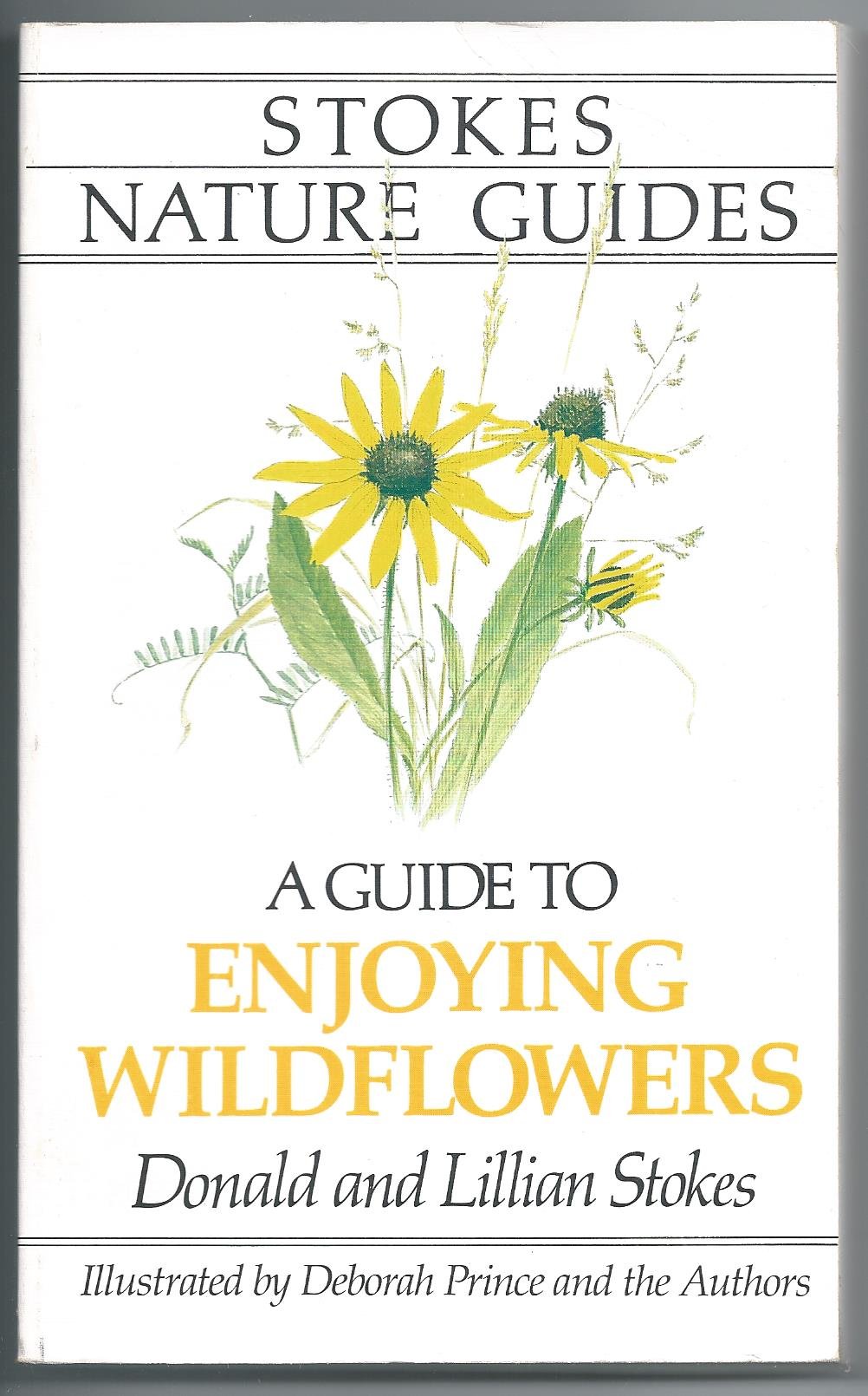 A Guide to Enjoying Wildflowers