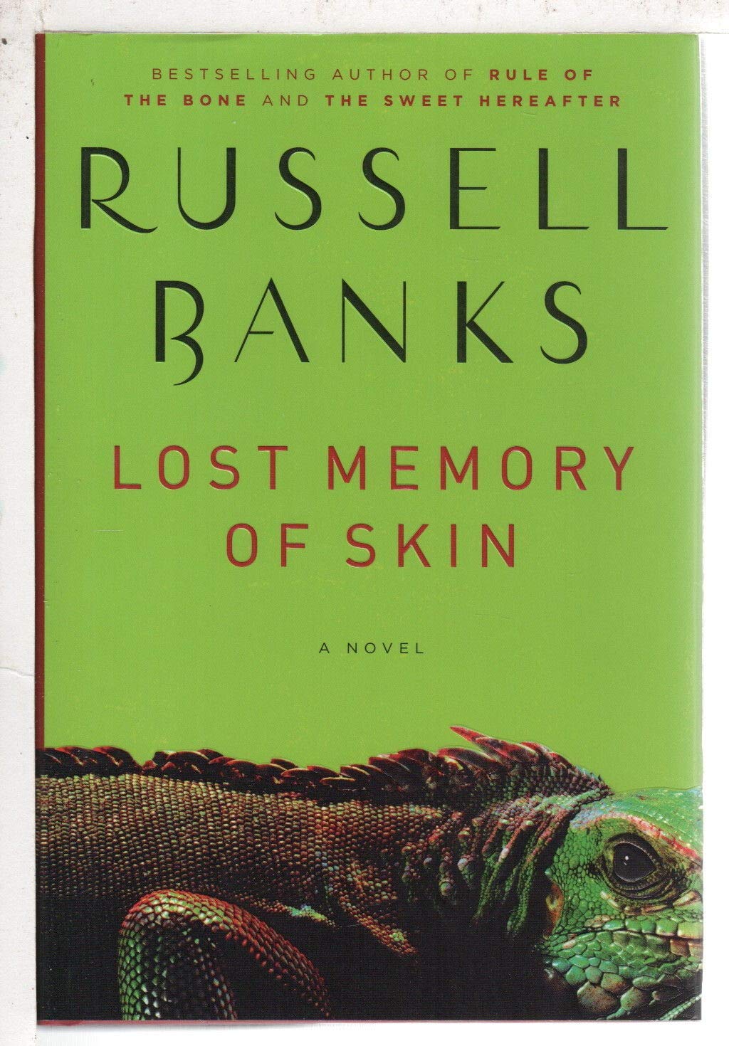 Lost Memory of Skin: A Novel