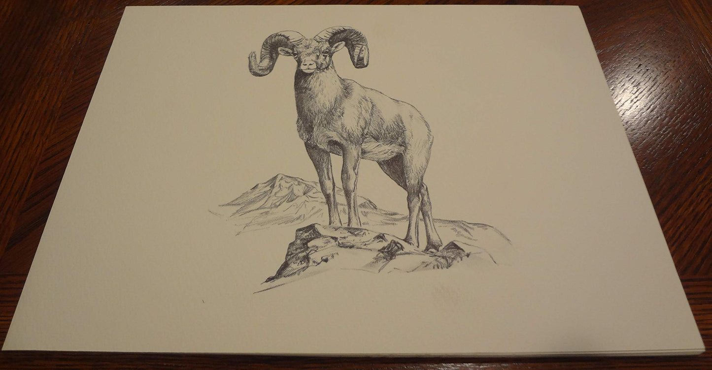 Wildlife of the Rockies (Art Prints)