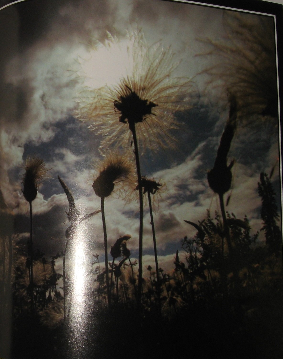 Killing Giants Pulling Thorns