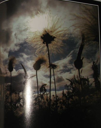 Killing Giants Pulling Thorns