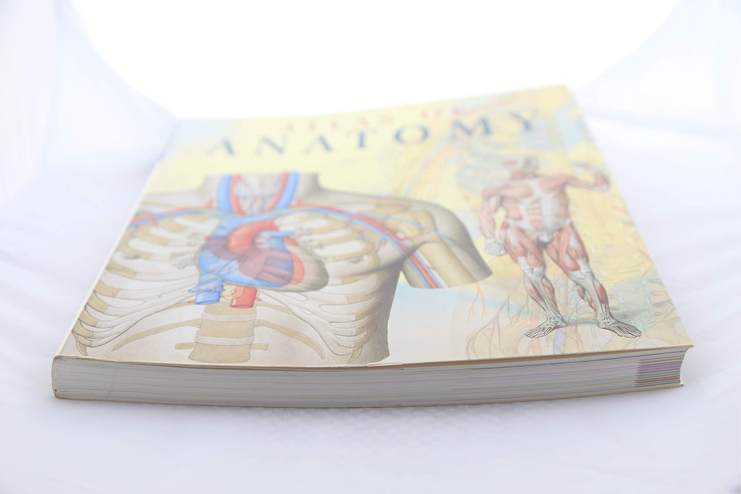 Atlas of Anatomy