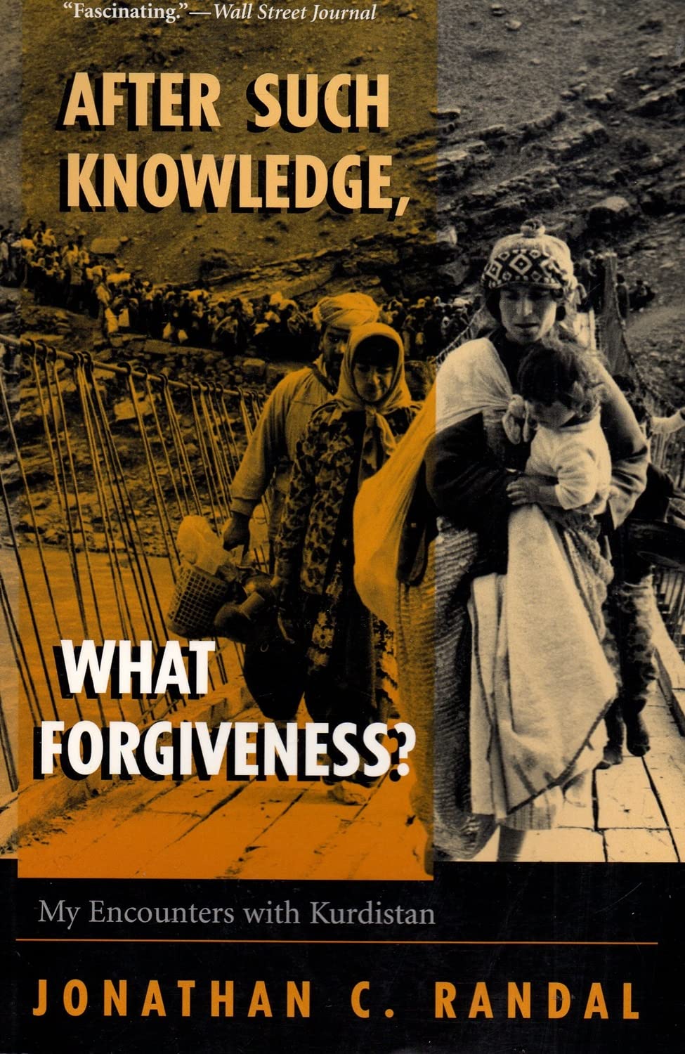 After Such Knowledge, What Forgiveness? My Encounters With Kurdistan