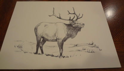 Wildlife of the Rockies (Art Prints)