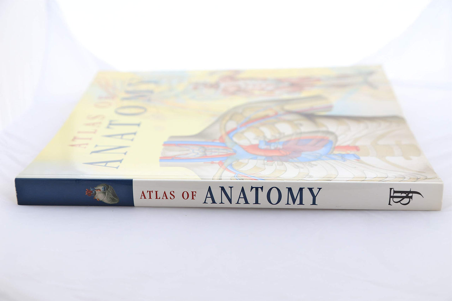 Atlas of Anatomy
