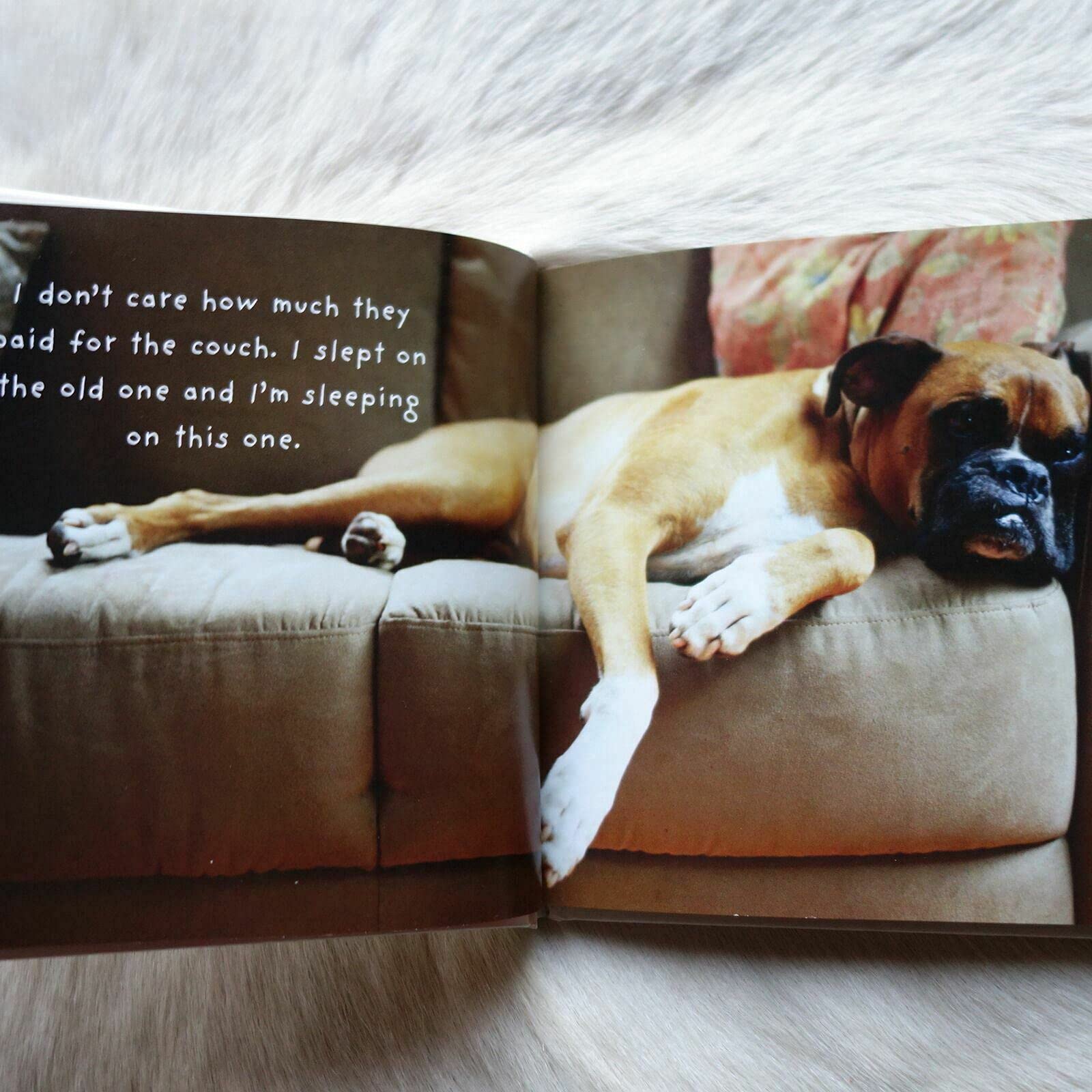 971850fd-59bc-40d2-a692-dfc782dc68ff