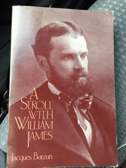 Stroll With William James