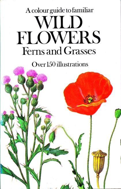 Colour Guide to Familiar Wild Flowers, Ferns and Grasses Illustrated By Vlastimil Choc (Translated By Daniela Coxon)