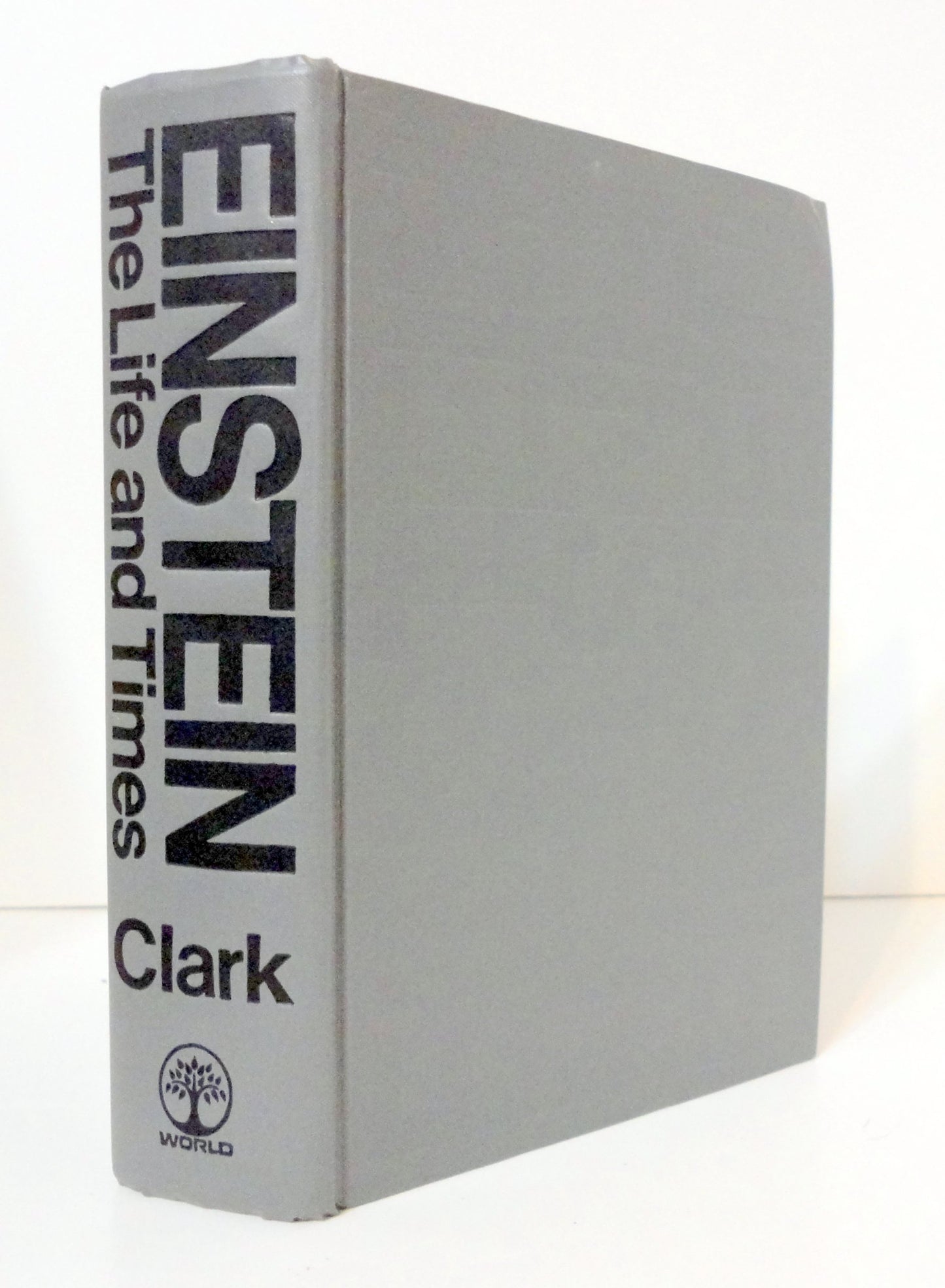 Einstein the Life and Times