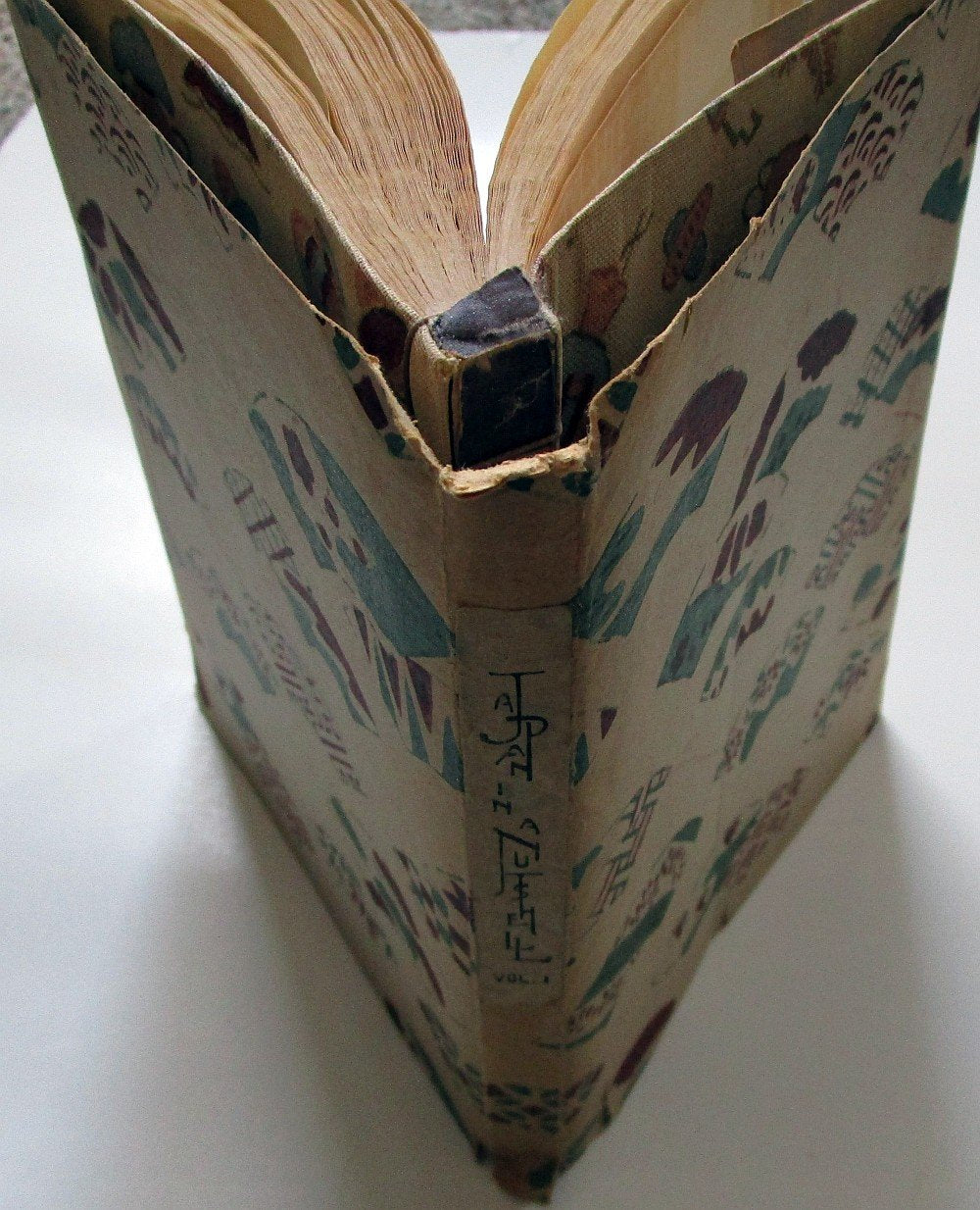 Japan in a Nutshell: Religion Culture and Popular Practices, Volume 1