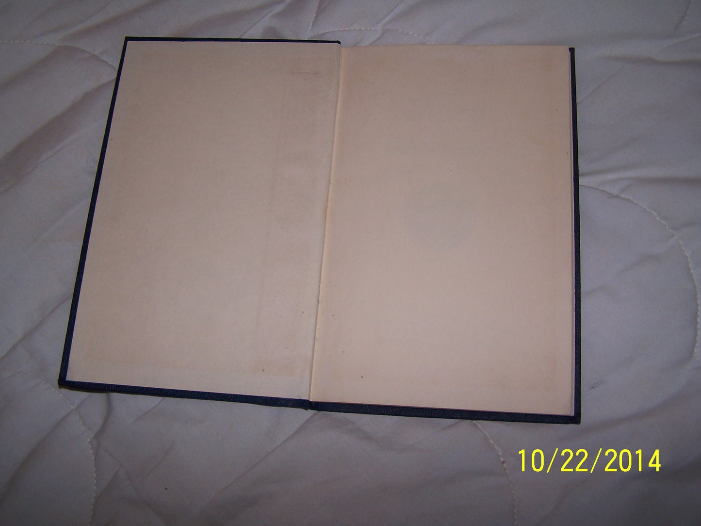 Mary God's Masterpiece