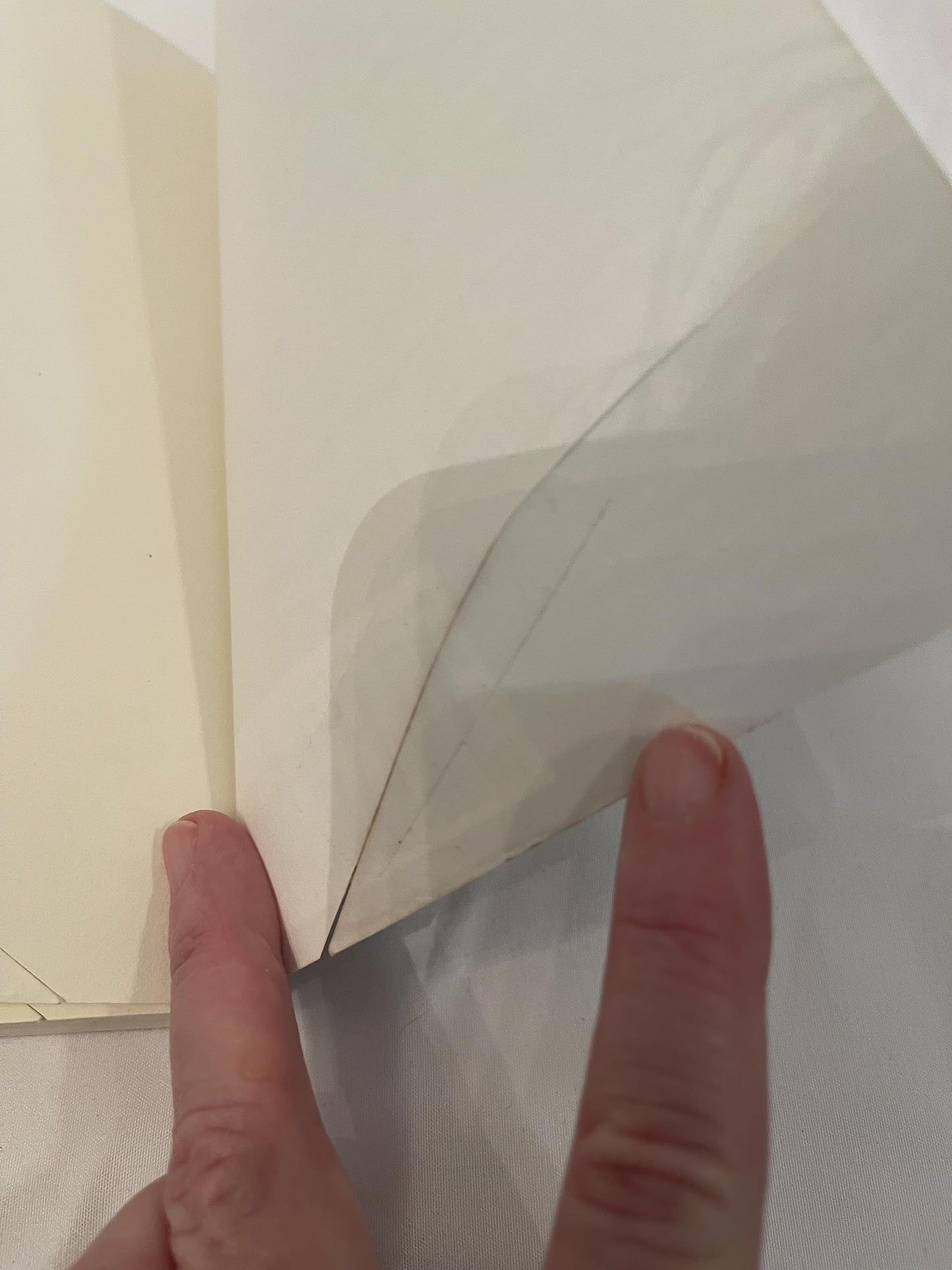 Sex, Economy, Freedom & Community: Eight Essays