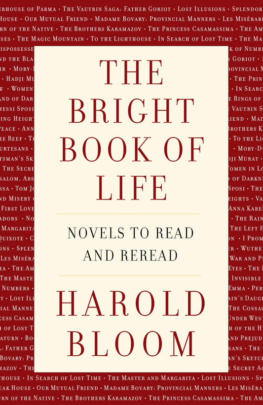 The Bright Book of Life: Novels to Read and Reread